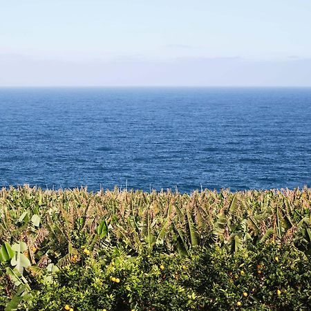 San Andres El Convento II Tranquilidad Y Vistas Unicas公寓 外观 照片