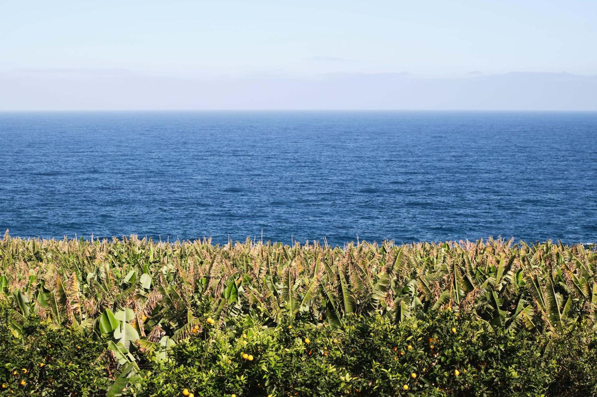 San Andres El Convento II Tranquilidad Y Vistas Unicas公寓 外观 照片